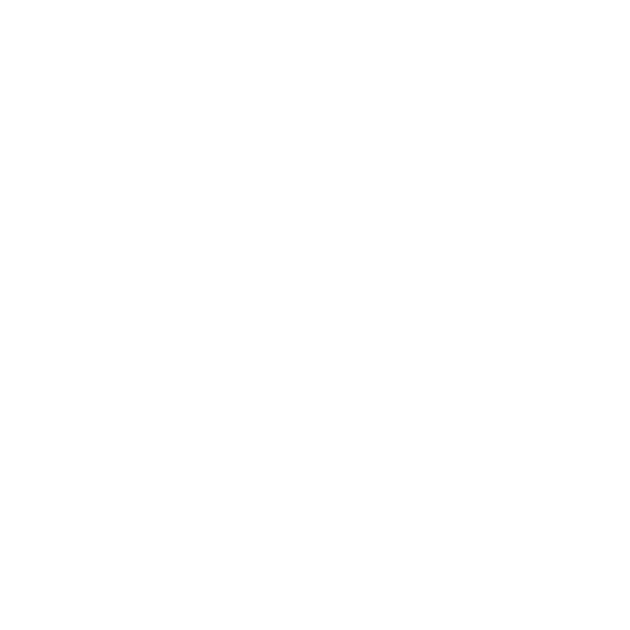 Compact icon