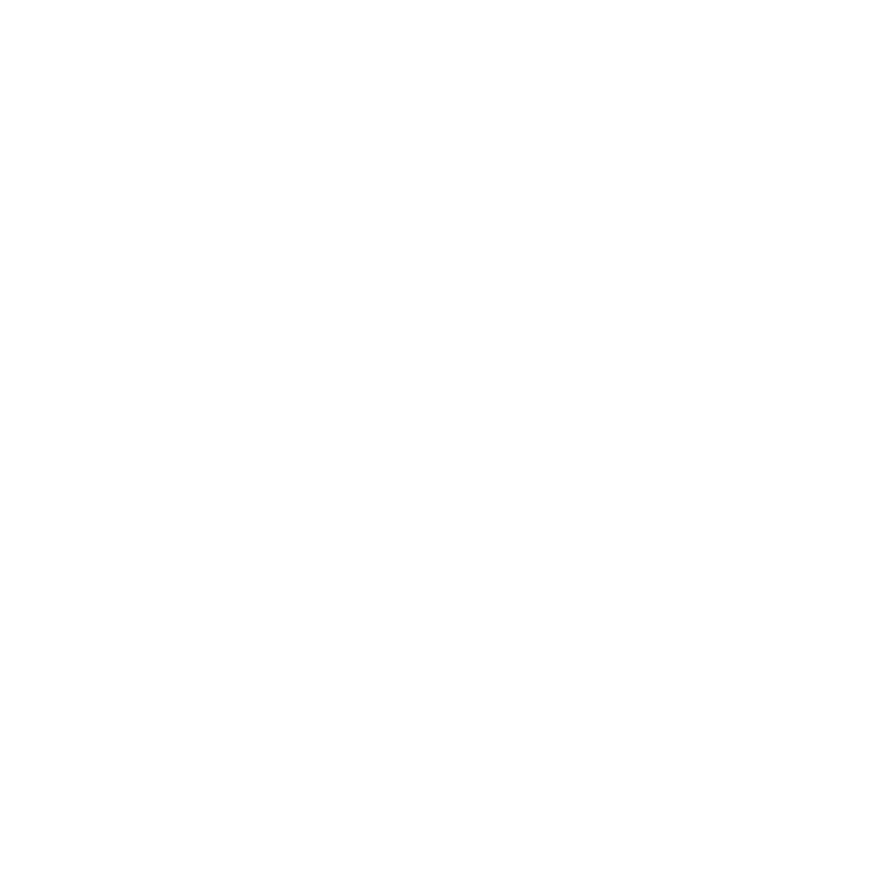 Raven icon