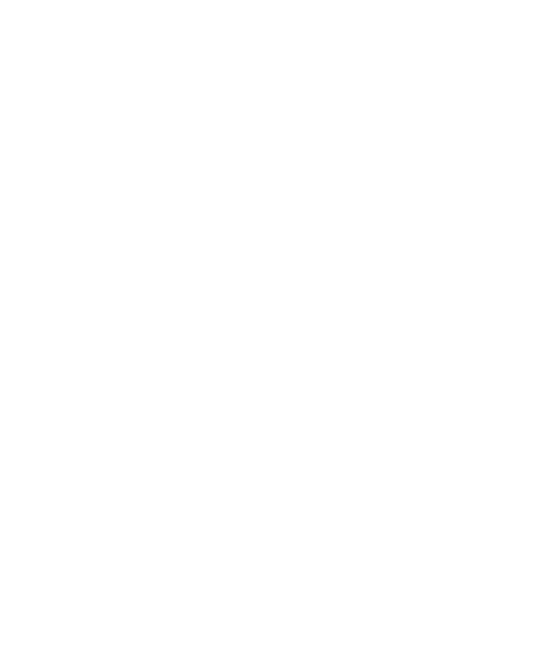 Cross icon