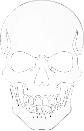 Skull icon
